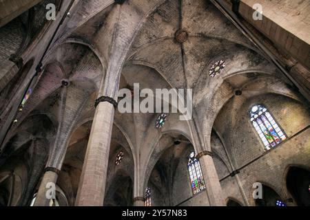 Barcellona, Spagna, 4 settembre 2008, esplora la splendida architettura gotica di Santa María del Mar, con intricate volte e vetrate colorate Foto Stock