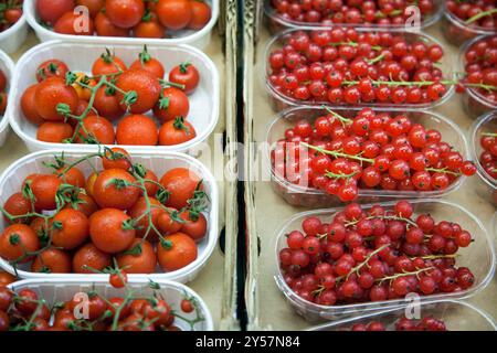 Vivaci pomodori ciliegini e ribes sono esposti freschi al vivace Mercado de la Boquería, che mette in mostra prodotti locali. Foto Stock