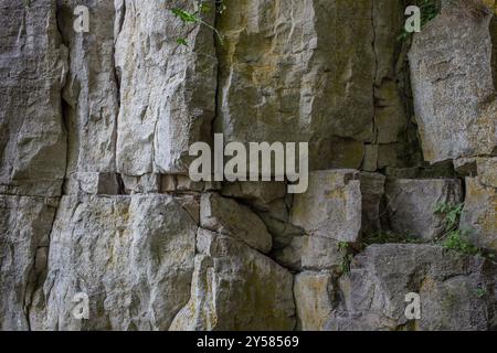 Sfondo scultoreo in pietra naturale presso la Rattlesnake Point Conservation area. Foto Stock