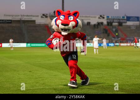 Maskottchen Fonsi mit Ball, SpVgg Unterhaching vs. Erzgebirge Aue, Fussball, 3. Liga, 6 anni. Spieltag, Saison 24/25, 20.09.2024, LE NORMATIVE DFL VIETANO QUALSIASI USO DI FOTOGRAFIE COME SEQUENZE DI IMMAGINI, foto: Eibner-Pressefoto/Jenni Maul Foto Stock