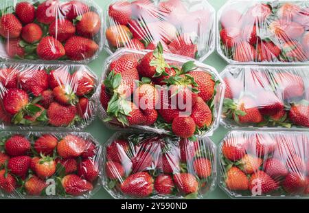 Molte fragole in scatole pronte per l'acquisto. Adagiare in piano con fragole mature fresche. Abbondanza di dolci frutti estivi. Concetto di stagione delle fragole Foto Stock