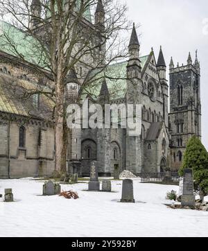 Cattedrale di Nidaros, Trondheim, Norvegia, Europa Foto Stock