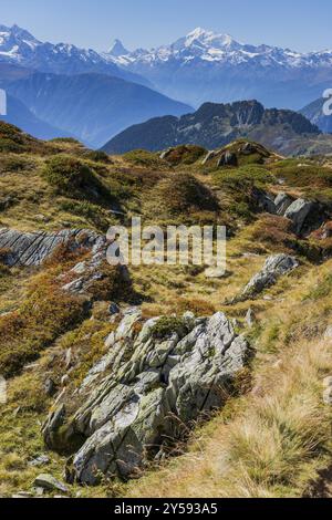 Sentiero avventura escursionistico, Riederalp con vista sul Cervino, escursioni, escursioni in montagna, nessuno, turismo, Vallese, Svizzera, Europa Foto Stock