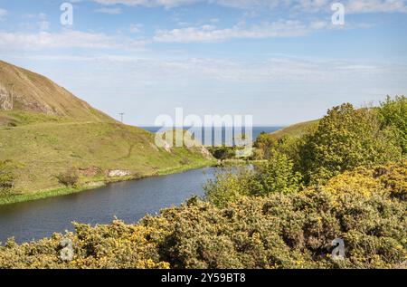 Mire Loch, St Abbs Head, Scozia, Regno Unito, Europa Foto Stock