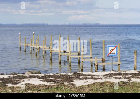 Resti di un antico molo in legno in Langeland, Danimarca con un cartello che diceva no jumping dal molo Foto Stock