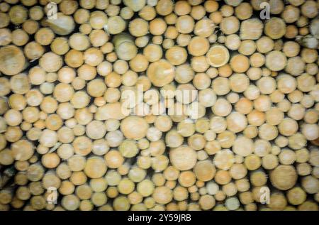 Sfondo astratto in legno con una pila di legna rotonda preparata per l'inverno Foto Stock