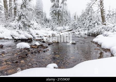 Escursione invernale intorno al laghetto di Oderteich foto dal parco nazionale invernale di Harz nella bassa Sassonia Foto Stock