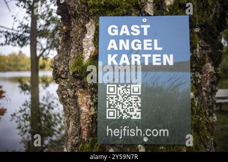 Acquista online la licenza di pesca hejfish Foto Stock