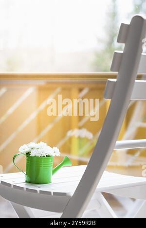 Bellissime margherite bianche bouquet in una barattola da irrigazione verde su una sedia di legno bianca, con il loro riflesso in una grande finestra, in un giorno di sole di primavera Foto Stock