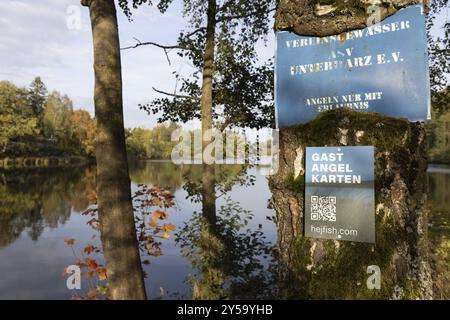 Acquista online la licenza di pesca hejfish Foto Stock