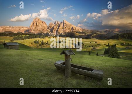 Alpe di Siusi con il gruppo Langkofel prima del tramonto, alto Adige, Italia, Europa Foto Stock