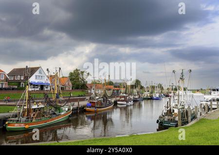 Imbarcazioni tradizionali per gamberi nel porto di Greetsiel, Frisia orientale, Germania, Europa Foto Stock