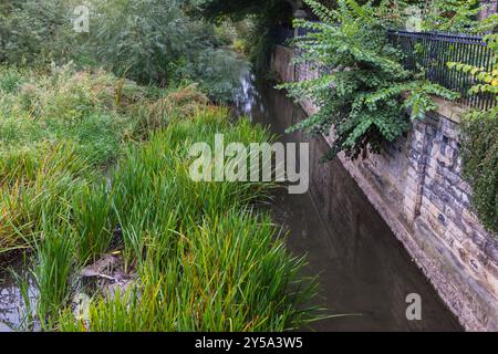 Fiume Skerne in Darlington,l'Inghilterra,UK Foto Stock