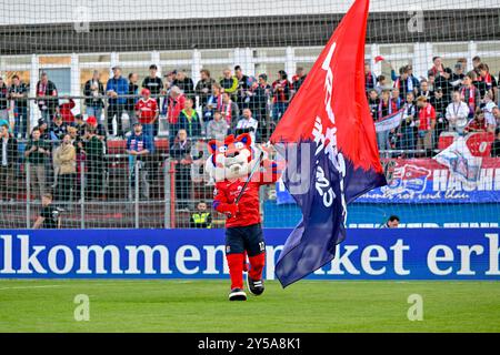 Unterhaching, Deutschland. 20 settembre 2024. DAS Unterhachinger Maskottchen FONSI läuft vor dem Spiel mit Haching-Fahne über den Platz, 20.09.2024, Unterhaching (Deutschland), Fussball, 3. LIGA, SPVGG UNTERHACHING - FC ERZGEBIRGE AUE, LE NORMATIVE DFB/DFL VIETANO QUALSIASI USO DI FOTOGRAFIE COME SEQUENZE DI IMMAGINI E/O QUASI-VIDEO. Credito: dpa/Alamy Live News Foto Stock