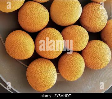Semi di senape nera. Micrografia elettronica a scansione colorata (SEM) di un seme di senape nera. Questo seme proviene dalla pianta della senape nera (Brassica nigra) ed è utilizzato in forma schiacciata come spezia o olio culinario. Ingrandimento: X60 se stampato largo 10 centimetri. Foto Stock