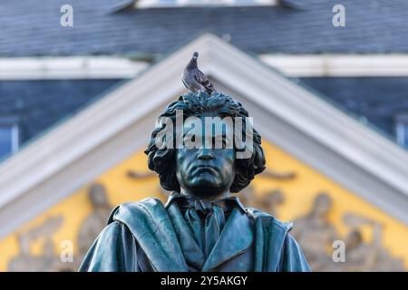 Beethoven Denkmal auf dem Bonner Münsterplatz - 20.09.2024. DAS Beethoven-Denkmal auf dem Münsterplatz a Bonn. Auf dem Kopf verweillt eine Taube. Im Hintergrund erhebt sich das historische Postamt, eine beeindruckende Kulisse für das Denkmal des berühmten Komponisten. Bonn Innenstadt Nordrhein-Westfalen Deutschland *** Monumento di Beethoven a Bonns Münsterplatz 20 09 2024 il monumento di Beethoven A Münsterplatz a Bonn Una colomba strizza sulla testa sullo sfondo sorge lo storico ufficio postale, uno sfondo impressionante per il monumento al famoso compositore Bonn centro della Renania settentrionale-Vestfalia G. Foto Stock