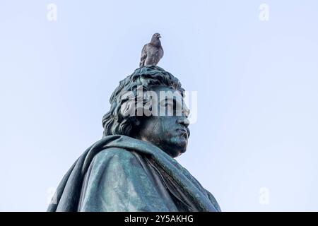 Beethoven Denkmal auf dem Bonner Münsterplatz - 20.09.2024. DAS Beethoven-Denkmal auf dem Münsterplatz a Bonn. Auf dem Kopf verweillt eine Taube. Im Hintergrund erhebt sich das historische Postamt, eine beeindruckende Kulisse für das Denkmal des berühmten Komponisten. Bonn Innenstadt Nordrhein-Westfalen Deutschland *** Monumento di Beethoven a Bonns Münsterplatz 20 09 2024 il monumento di Beethoven A Münsterplatz a Bonn Una colomba strizza sulla testa sullo sfondo sorge lo storico ufficio postale, uno sfondo impressionante per il monumento al famoso compositore Bonn centro della Renania settentrionale-Vestfalia G. Foto Stock