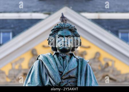 Beethoven Denkmal auf dem Bonner Münsterplatz - 20.09.2024. DAS Beethoven-Denkmal auf dem Münsterplatz a Bonn. Auf dem Kopf verweillt eine Taube. Im Hintergrund erhebt sich das historische Postamt, eine beeindruckende Kulisse für das Denkmal des berühmten Komponisten. Bonn Innenstadt Nordrhein-Westfalen Deutschland *** Monumento di Beethoven a Bonns Münsterplatz 20 09 2024 il monumento di Beethoven A Münsterplatz a Bonn Una colomba strizza sulla testa sullo sfondo sorge lo storico ufficio postale, uno sfondo impressionante per il monumento al famoso compositore Bonn centro della Renania settentrionale-Vestfalia G. Foto Stock