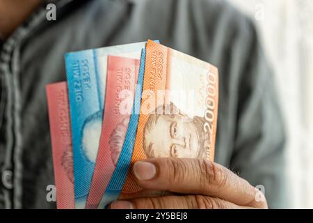 Soldi cileni, l'uomo tiene in mano banconote in pesos. Concetto di business finanziario, primo piano Foto Stock