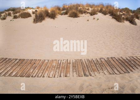 Sentiero in legno attraverso la sabbia sulla spiaggia Foto Stock