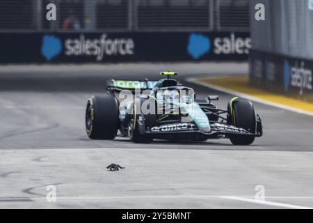 Singapore. 21 settembre 2024. Lizard in pista, 14 ALONSO Fernando (spa), Aston Martin F1 Team AMR24, azione durante la Formula 1 Singapore Grand Prix 2024, 18° round del Campionato del mondo di Formula 1 2024 dal 20 al 22 settembre 2024 sul Marina Bay Circuit, a Singapore, Singapore Foto Stock