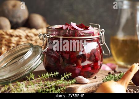 Preparazione di barbabietole rosse fermentate in un vaso di vetro a base di barbabietole fresche, cipolle, aglio e spezie Foto Stock