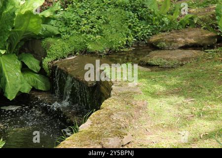 Un flusso delicato di un ruscello sopra una cascata di giardino. Foto Stock