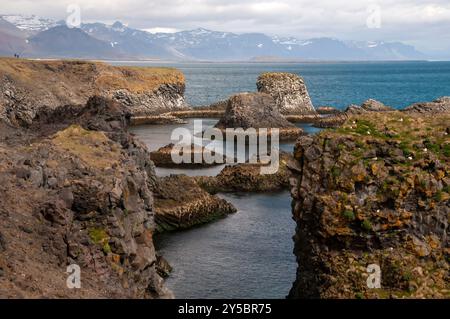 Arnarstapi Islanda, ammira la costa con colonie di uccelli sulle cime delle scogliere e sulle isole Foto Stock