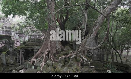 Antica Mistica delle rovine del Tempio di Beng Mealea in Cambogia Foto Stock