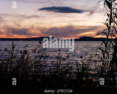 Tramonto sul Lago di Bolsena a Montefiascone con canne in primo piano, regione Lazio, Italia. 20 settembre 2024 Foto Stock
