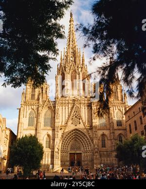 La cattedrale di Barcellona, Barri Ghotic trimestre, Catalogna, Spagna Foto Stock