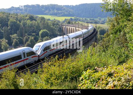 Eisenbahnverkehr auf dem Eisenbahnviadukt Altenbeken. Intercity Express Zug ICE4 der Deutschen Bahn Altenbeken, Nordrhein-Westfalen, DEU, Deutschland, 03.09.2024 *** traffico ferroviario sul viadotto ferroviario Altenbeken Intercity Express train ICE4 della Deutsche Bahn Altenbeken, Renania settentrionale-Vestfalia, DEU, Germania, 03 09 2024 Foto Stock