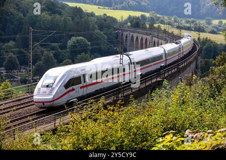 Eisenbahnverkehr auf dem Eisenbahnviadukt Altenbeken. Intercity Express Zug ICE4 der Deutschen Bahn Altenbeken, Nordrhein-Westfalen, DEU, Deutschland, 03.09.2024 *** traffico ferroviario sul viadotto ferroviario Altenbeken Intercity Express train ICE4 della Deutsche Bahn Altenbeken, Renania settentrionale-Vestfalia, DEU, Germania, 03 09 2024 Foto Stock