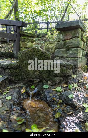 Un primo piano di una fontana di pietra coperta di muschio annidata in una lussureggiante foresta verde con l'acqua che scorre dolcemente dal beccuccio in un piccolo ruscello che evoca un sens Foto Stock