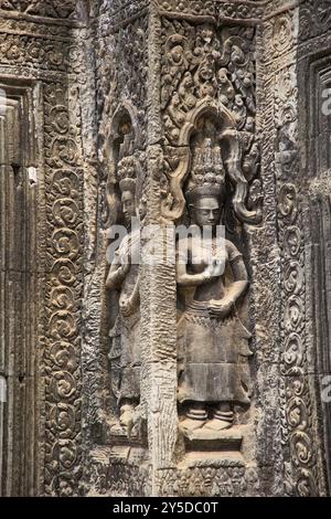 Apsara donna per metà umana e per metà divina dell'induismo e del buddismo nel tempio di Ta Prohm in Cambogia Foto Stock