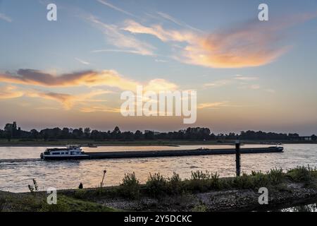 Nave da carico sul Reno vicino a Duesseldorf, tramonto, discesa, Renania settentrionale-Vestfalia, Germania, Europa Foto Stock