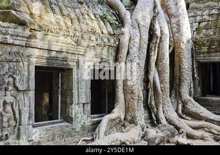 Le rovine di Angkor wat sono un famoso tempio nei pressi del siem Reap cambogia Foto Stock