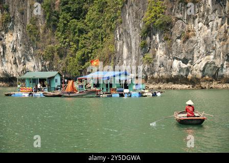 Villaggio vietnamita di zingari marini nella baia di ha long Foto Stock