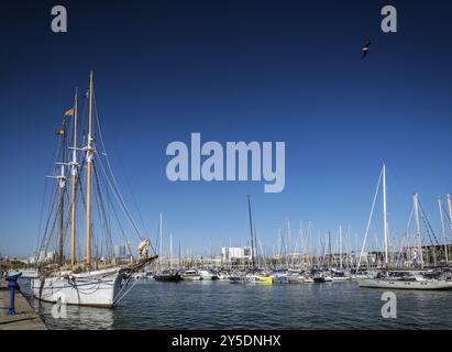 Vista sul porticciolo urbano con barche e barche a vela nella zona di Port vell a barcellona, spagna Foto Stock