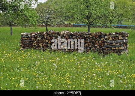 Pila di legna da ardere in un prato in fiore, pila di legna da ardere in un prato in fiore Foto Stock