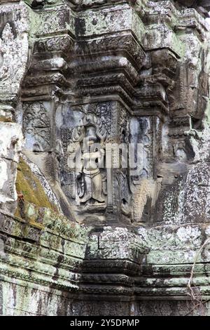 Apsara donna per metà umana e per metà divina dell'induismo e del buddismo nel tempio di Ta Prohm in Cambogia Foto Stock