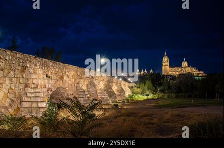 Puente romano y Catedral de Salamanca al fondo en la noche. España Foto Stock