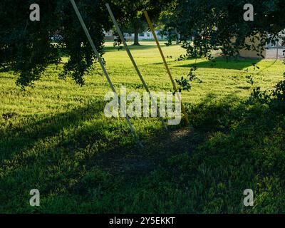 Three Guy Wire è un cavo di tensione incorniciato da arti arboree ampia e bassa visuale su erba verde brillante e alberi del tardo pomeriggio al sole con una lunga ombra. Vicino Foto Stock