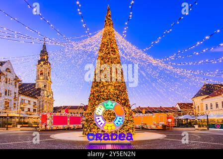 Oradea, Romania - 27 dicembre 2023. Mercatino di Natale con luci scintillanti dell'albero X-Mas, decorazioni natalizie e un'atmosfera accogliente di stagione. Foto Stock