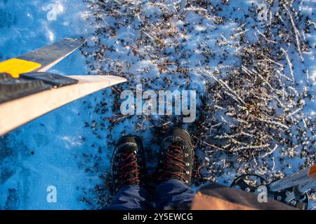 Scarponi da sci e cieli di fondo al sole mattutino, Lapponia, Svezia Foto Stock