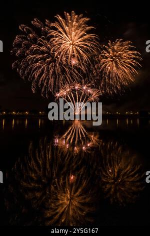 I colorati fuochi d'artificio, che fanno parte dell'evento Dresdner Schlössernacht, si riflettono nell'acqua del fiume Elba. Foto Stock