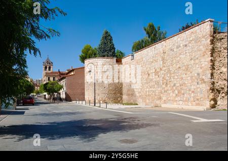 Sezione delle mura romane in rovina della Castiglia di León e della Spagna di León Foto Stock