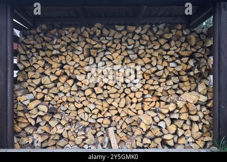 Pila di legna da ardere di betulla. Capannone in legno per conservare la legna da ardere al chiuso. Pelo di legna da ardere come combustibile per il riscaldamento in caminetti e forni. Muro di legno dal mucchio Foto Stock