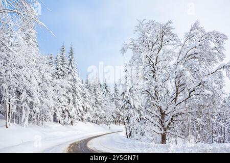 Entremont le Vieux nel Parc naturel de la Chartreuse, Savoie, Rhône-Alpes, in Francia Foto Stock