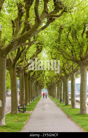 AIX le Bains e Lac de Bourget in Savoia, Rhône-Alpes, Francia Foto Stock